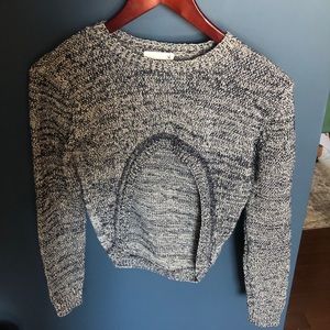 Super Trash Cropped Sweater